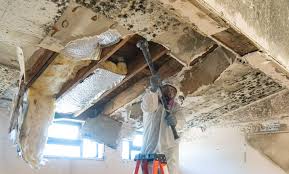 Best Mold Prevention Services  in Carlisle, PA